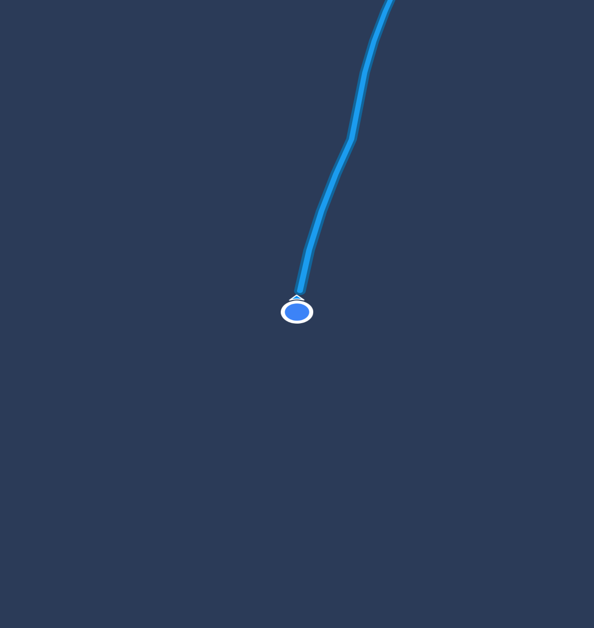 Session in progress — route, pace and elapsed time